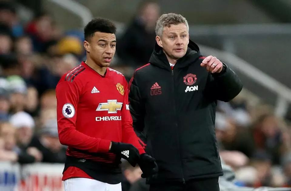 他们卓越的 他们卓越的